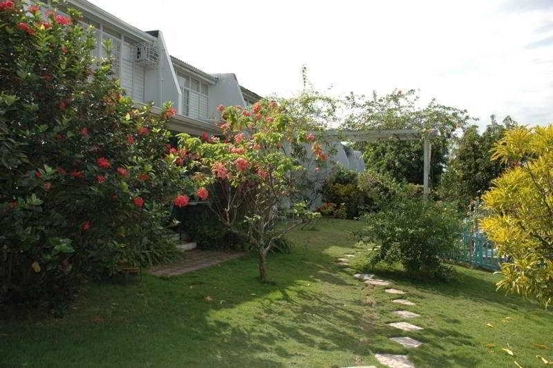 The Gardens Villa Kingston Exteriör bild